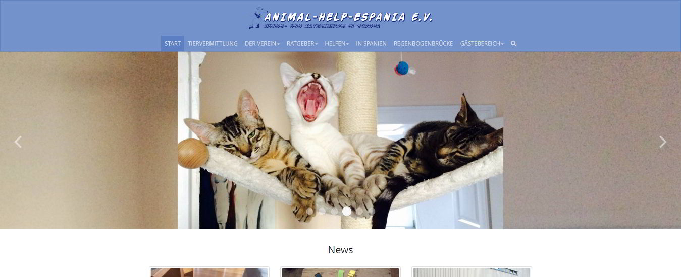 Screenshot AHE Website