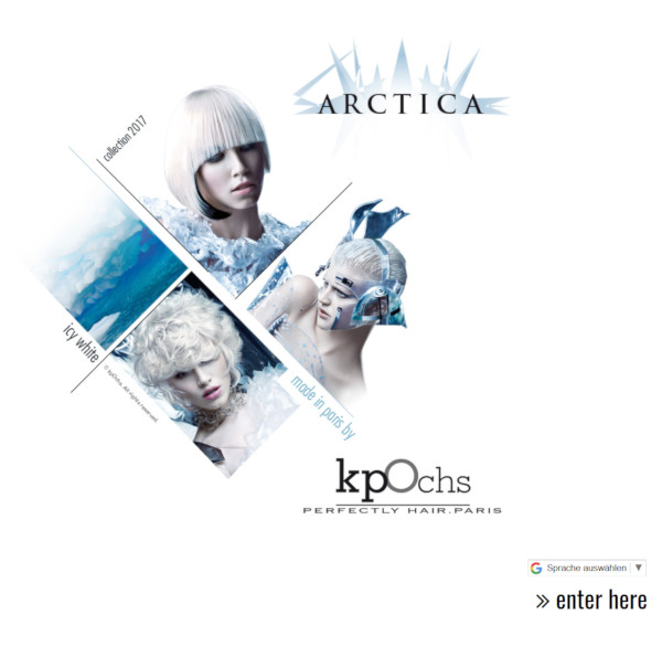 Screenshot Arctica Website